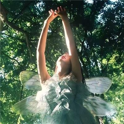 命运航班第四季